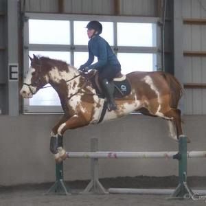 Meet your Posher, Marcelle